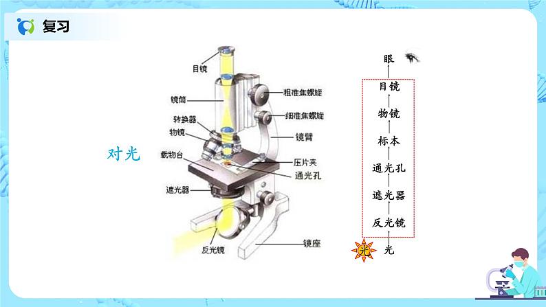 2.1.2《植物细胞》（1）-课件第2页