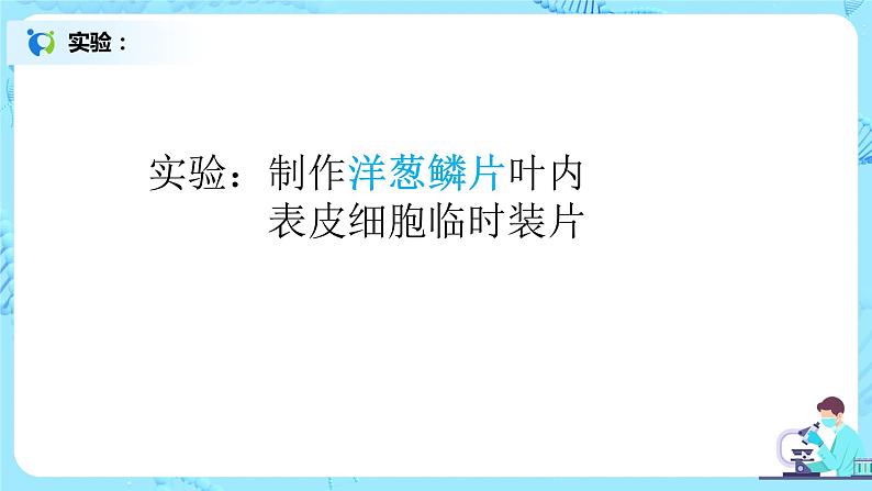 2.1.2《植物细胞》（1）-课件第5页