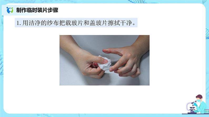 2.1.2《植物细胞》（1）-课件第7页