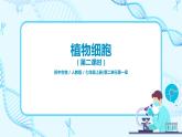 2.1.2《植物细胞》（第二课时）（课件+教案+练习）