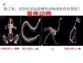 5.1.4《鱼》教学课件