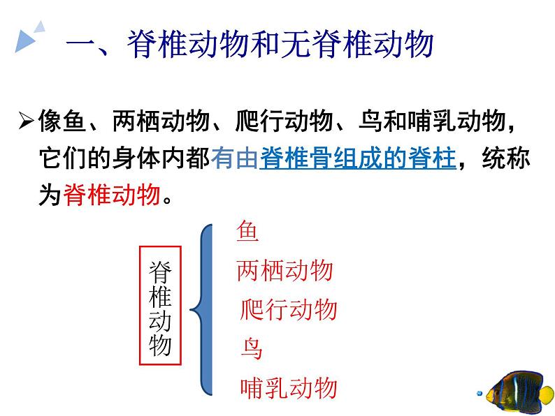 5.1.4《鱼》教学课件05