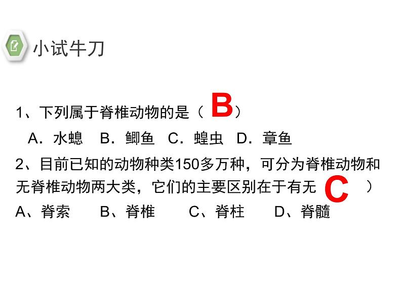 5.1.4《鱼》教学课件07