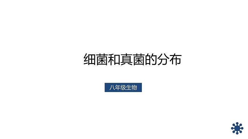 《细菌和真菌的分布》教学课件第1页