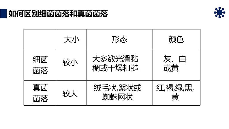 《细菌和真菌的分布》教学课件第7页