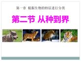 《从种到界》教学课件