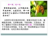 《从种到界》教学课件
