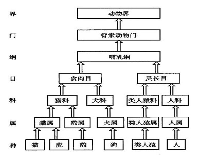 《从种到界》教学课件06