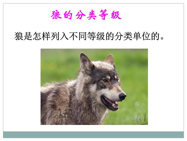 《从种到界》教学课件08