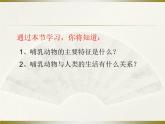 《哺乳动物》教学课件