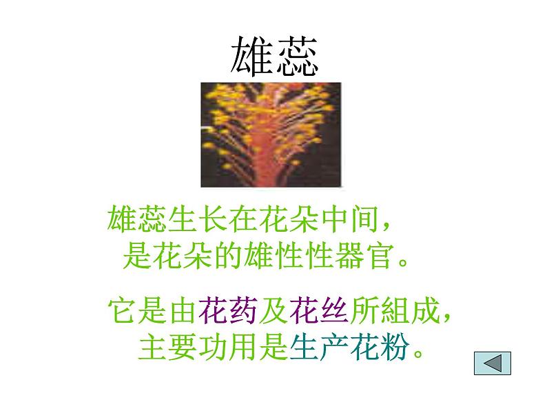 5.5《开花和结果》教学课件第6页