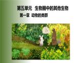 5.1.1《腔肠动物和扁形动物》教学课件