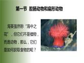 5.1.1《腔肠动物和扁形动物》教学课件