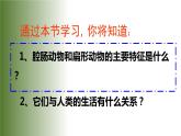 5.1.1《腔肠动物和扁形动物》教学课件