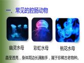 5.1.1《腔肠动物和扁形动物》教学课件
