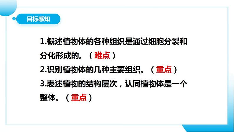 人教版初中生物七年级上册2.2.3《植物体的结构层次》课件第4页
