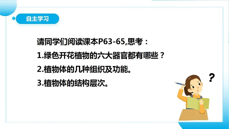 人教版初中生物七年级上册2.2.3《植物体的结构层次》课件第5页