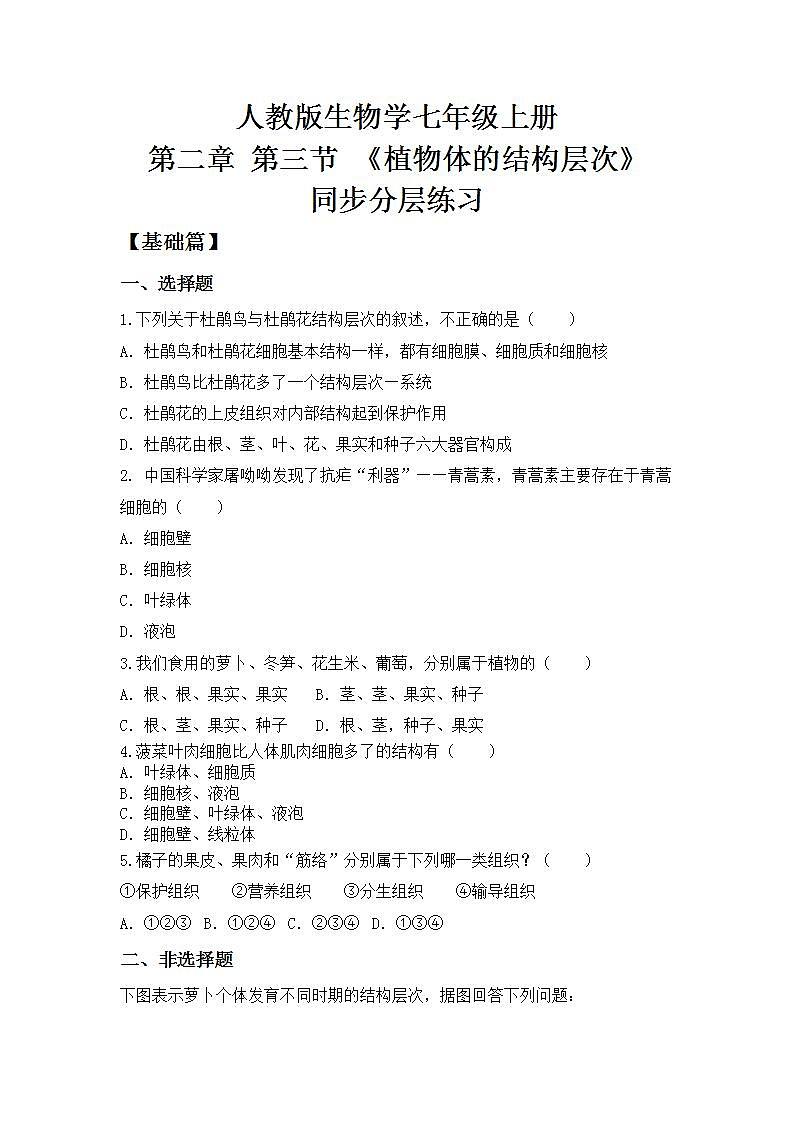 人教版初中生物七年级上册2.2.3《植物体的结构层次》同步分层练习（含答案）第1页