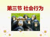 5.2.3《社会行为》教学课件