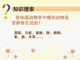 5.2.3《社会行为》教学课件