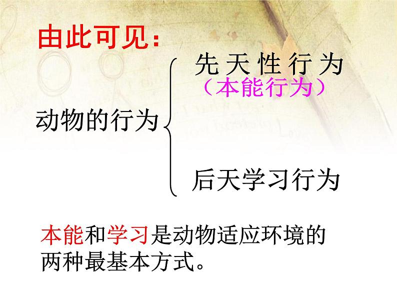 5.1.6《先天性行为和学习行为》教学课件08