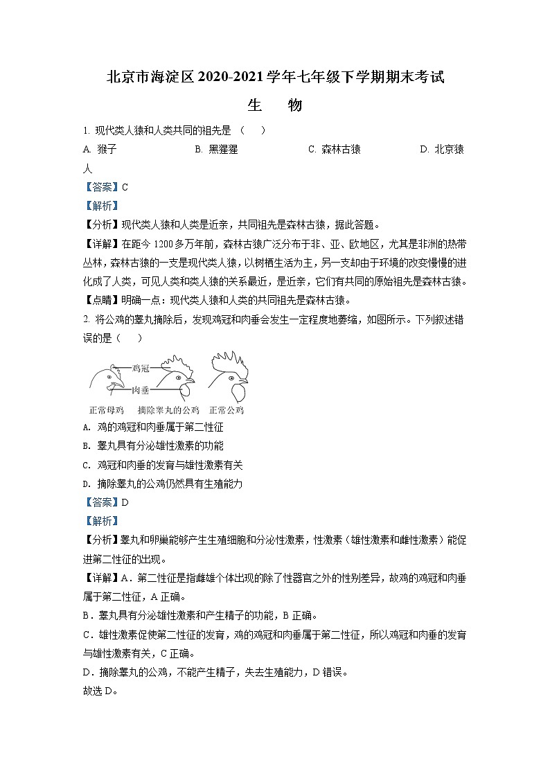 北京市海淀区2020-2021学年七年级下学期期末生物试题（解析版）第1页