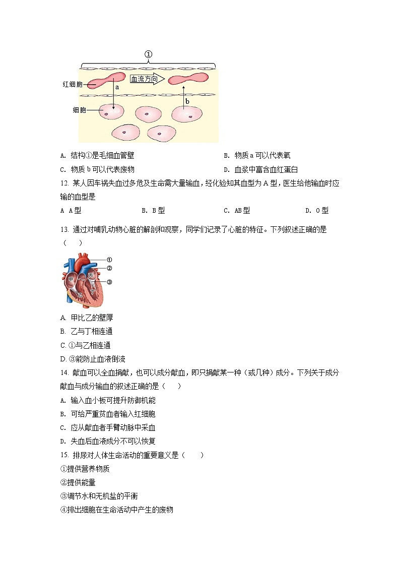 北京市海淀区2020-2021学年七年级下学期期末生物试题（原卷版）第3页