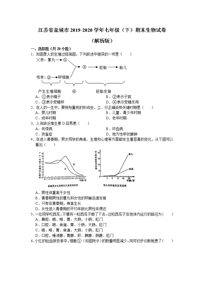 江苏省盐城市2019-2020学年七年级（下）期末生物试卷（解析版）第1页