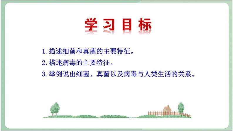 苏教版生物八年级上册14.3 神奇的微生物 课件03