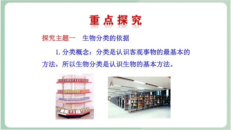 苏教版生物八年级上册14.4 生物的分类 课件04