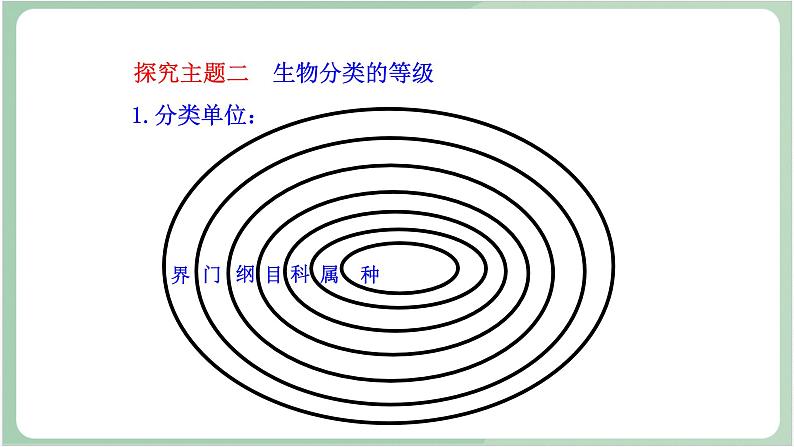 苏教版生物八年级上册14.4 生物的分类 课件06