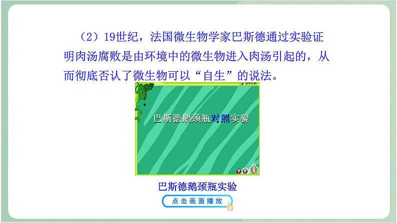 苏教版生物八年级上册16.1 生命的诞生 课件06