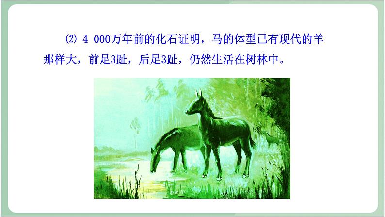 苏教版生物八年级上册16.2 生物进化的历程 课件08