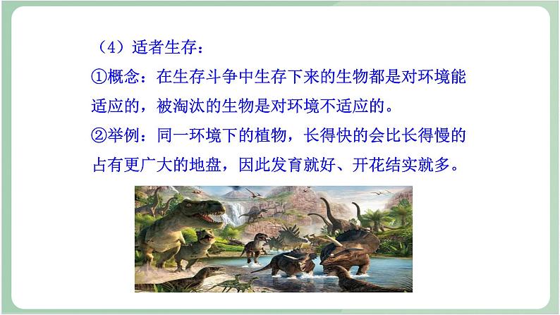 苏教版生物八年级上册16.3 生物进化的学说 课件08