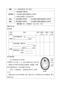 苏教版八年级上册第五单元 生物多样性第十四章 丰富多彩的生物世界第三节 神奇的微生物精品第二课时教学设计