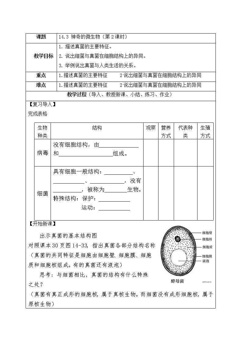 苏教版生物八年级上册14.3 神奇的微生物（第二课时）教学设计01