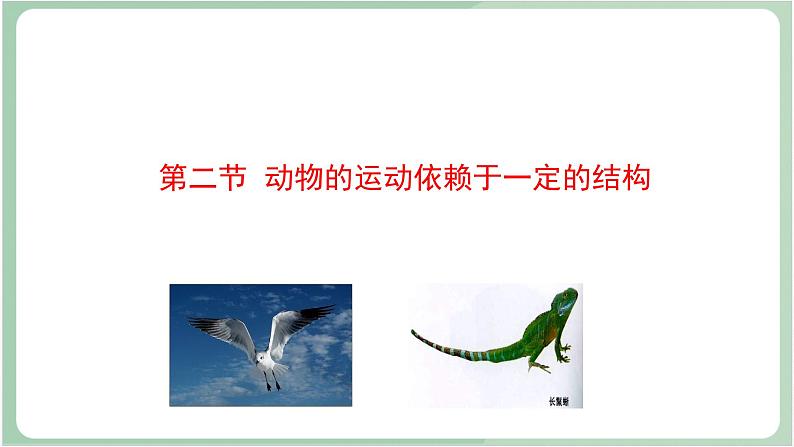 苏教版生物八年级上册17.2 动物的运动依赖于一定的结构  课件第1页