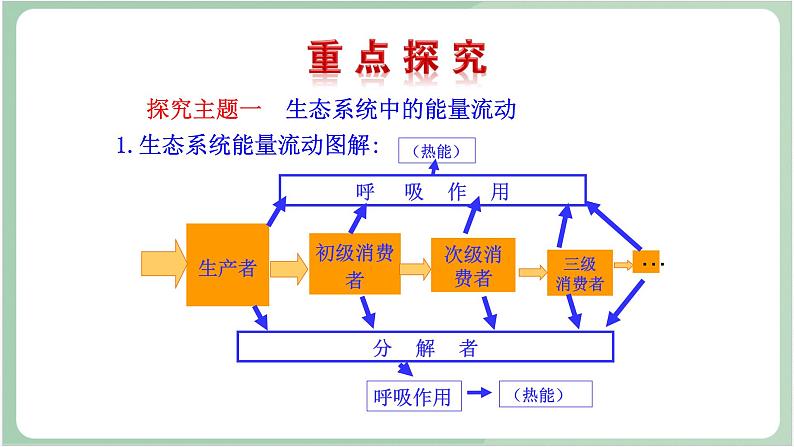 苏教版生物八年级上册19.2 生态系统中的能量流动和物质循环  课件04