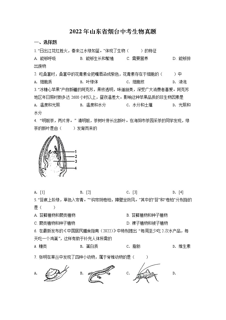 2022年山东省烟台中考真题生物（试卷）第1页