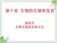 初中生物北京版八年级上册第四节 生物生殖的多种方式优秀习题ppt课件