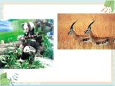 北京版七年级生物上册第一章 第一节 认识我们身边的植物和动物 课件+教案+素材