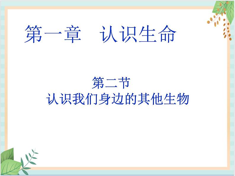 北京版七年级生物上册第一章 第二节 认识我们身边的其他生物 课件+教案+素材03