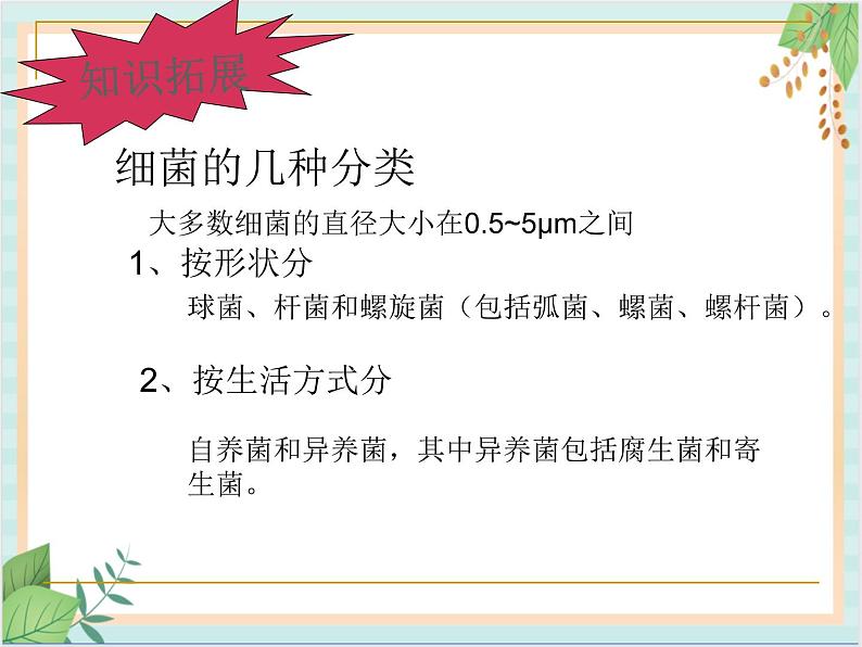 北京版七年级生物上册第一章 第二节 认识我们身边的其他生物 课件+教案+素材01