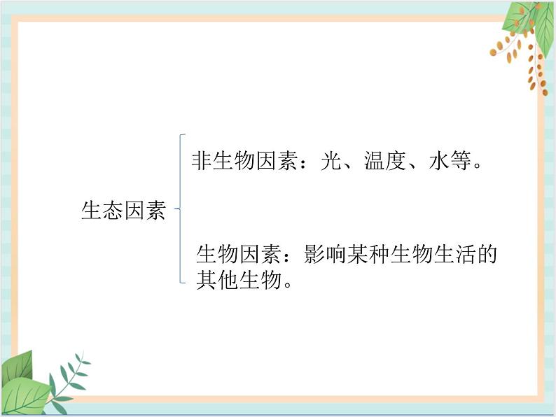 北京版七年级生物上册第一章 第二节 认识我们身边的其他生物 课件+教案+素材03