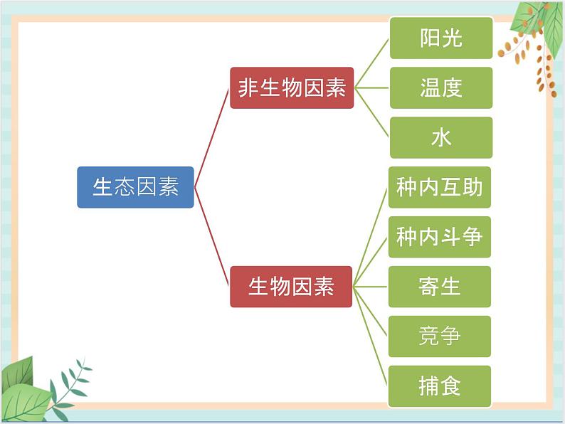 北京版七年级生物上册第一章 第二节 认识我们身边的其他生物 课件+教案+素材07