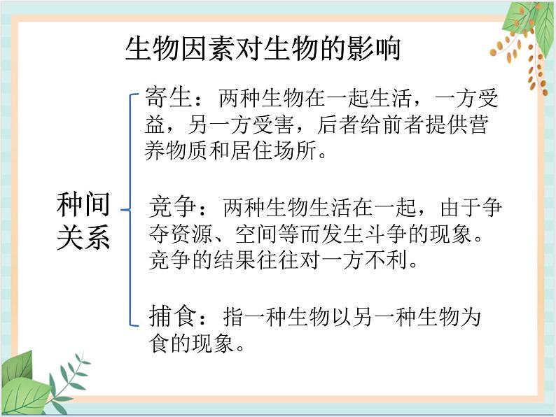 北京版七年级生物上册第一章 第二节 认识我们身边的其他生物 课件+教案+素材06