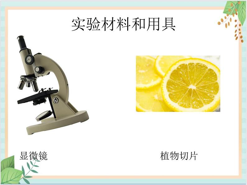 北京版七年级生物上册第二章 第一节 常用的生物学研究方法 课件+教案+素材01