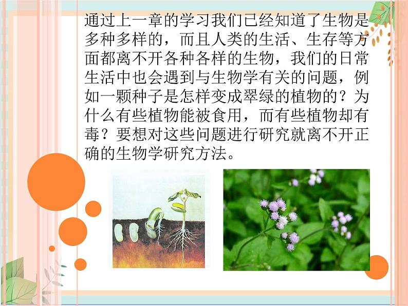 北京版七年级生物上册第二章 第一节 常用的生物学研究方法 课件+教案+素材01