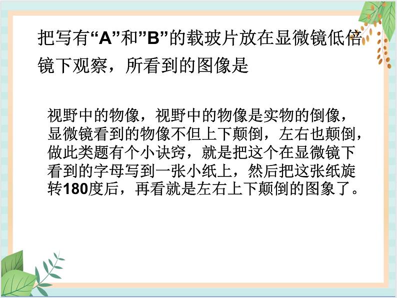 北京版七年级生物上册第二章 第二节 中学生物学实验的常用工具 课件+练习+素材01