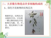 北京版七年级生物上册第三章 第二节 生物体 课件+教案+素材